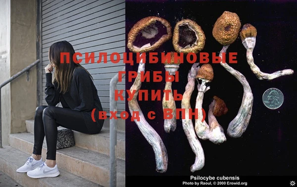 a pvp Россошь