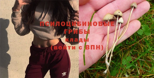 MDMA Абинск