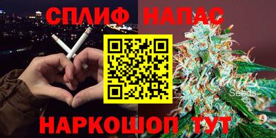 шишки Братск