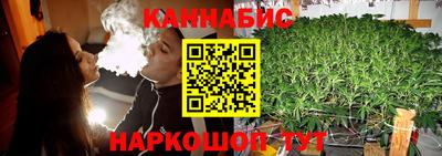 шишки Братск