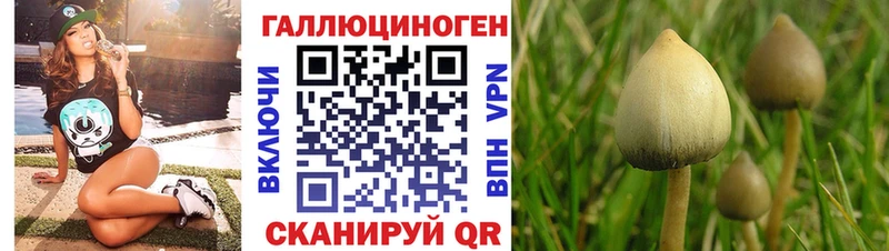 купить закладку  Белая Калитва  Галлюциногенные грибы мицелий 
