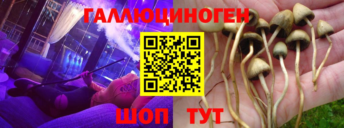 Псилоцибиновые грибы Magic Shrooms Белая Калитва