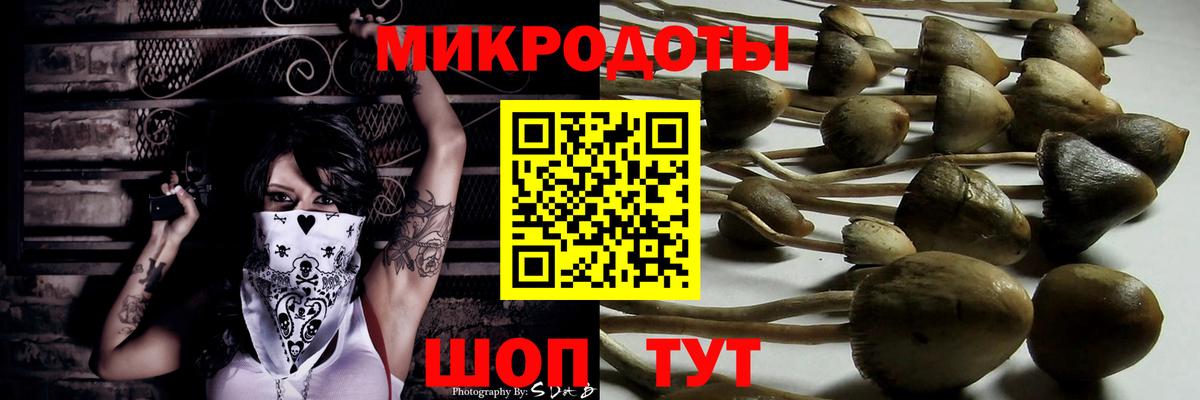 Белая Калитва  Псилоцибиновые грибы ЛСД  Вход с VPN  Галлюциногенные грибы прущие грибы 